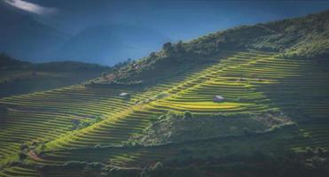 riz des champs sur en terrasse avec en bois pavillon sur bleu ciel Contexte dans mu cang chaï, yenbai, vietnam. photo