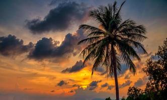 silhouette de cocotiers sur la plage au coucher du soleil. ton vintage. photo