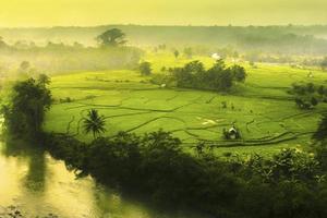 magnifique Matin vue Indonésie. panorama paysage paddy des champs avec beauté Couleur et ciel Naturel lumière photo