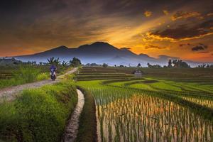 magnifique Matin vue Indonésie. panorama paysage paddy des champs avec beauté Couleur et ciel Naturel lumière photo