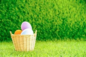 Pâques des œufs dans le panier sur vert herbe photo