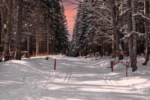 sentier de fond dans une forêt d'hiver enneigée au coucher du soleil photo