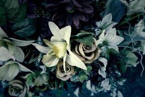 des roses dans le cimetière photo