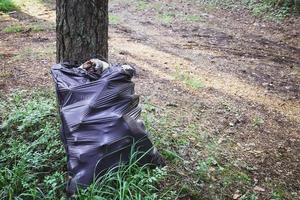 des ordures sac avec Plastique déchets dans le forêt, nettoyage en haut les forêts de Plastique la pollution photo