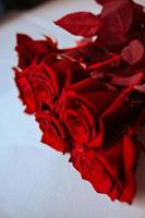 fond d'écran avec rouge des roses. incroyable Contexte avec rouge feuilles pour salutation carte, invitation. beaucoup de rouge Naturel incroyable des roses. photo