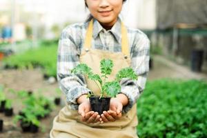 asiatique femelle agriculteur portrait à légume jardin