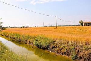 scénique rural paysage photo