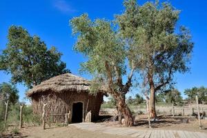 explorer le village de élaguer nur gens dans Xinjiang photo