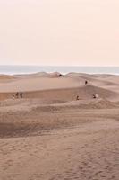 dunes de sable en bord de mer photo