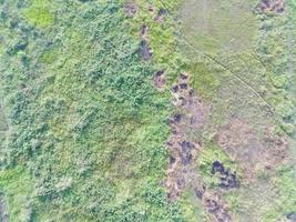 aérien vue de terre cartographie par sans pilote aérien véhicule dans bogor, Indonésie. photo