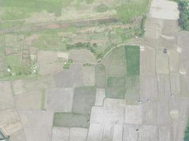 aérien vue de divers riz des champs modèle côté par côté avec local résidents Maisons. photo