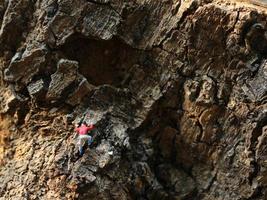 miniature figure de une grimpeur escalade une raide colline. photo