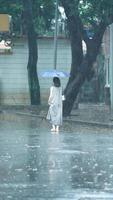 le gens en marchant avec parapluie dans le pluvieux journée photo