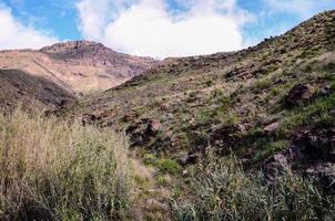 paysage de montagne pittoresque photo