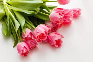 rose tulipes mensonge sur une blanc table photo