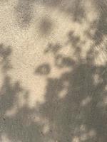feuilles ombre Contexte sur béton mur texture, feuilles arbre branches ombre avec lumière du soleil photo