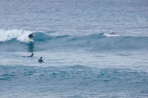 Jeune les athlètes pratiquant le l'eau sport de surfant photo