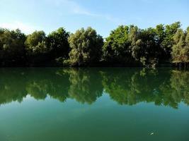 des arbres le long de le Lac photo