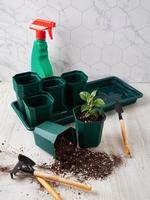 miniature jardin outils pour repiquage végétaux, Accueil loisir photo