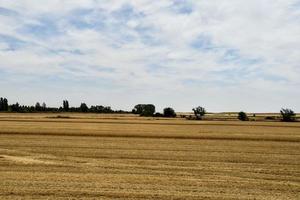 scénique rural paysage photo