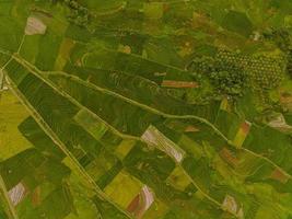 aérien vue de vert riz terrasses dans Indonésie photo