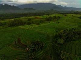 aérien vue de vert riz terrasses dans Indonésie photo