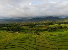 aérien vue de vert riz terrasses dans Indonésie photo