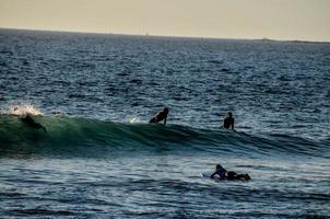 surfer dans l'océan photo