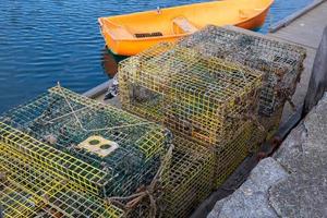 Crabe et Homard pièges photo