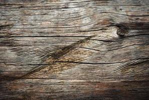 Détail du tronc d'arbre en bois avec rainures photo