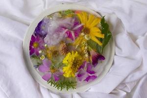 divers fleurs dans la glace cubes. Créatif floral Contexte. congelé magnifique les plantes. photo