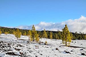 paysage de montagne pittoresque photo