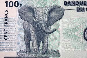 l'éléphant de congolais franc photo