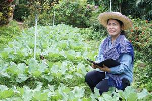 asiatique femme jardinier est une légume jardin, porter chapeau, bleu chemise, tenir intelligent tablette à inspecter croissance de des légumes. concept, agriculture recherche, utilisation La technologie à chercher ou une analyse à propos cultures. photo