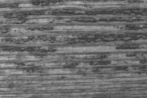 noir et blanc photo de vieux en bois planche