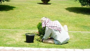 jardinier image pauvres homme travail photo