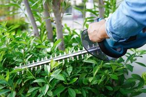 jardinier coupant le buisson par des taille-haies électriques dans le jardin. passe-temps à la maison. photo