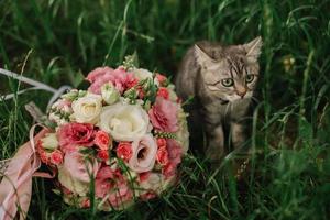 sur le canapé suivant à le de la mariée bouquet magnifique Accueil marron chat. chat, fleurs, canapé, bouquet, mariage, matin, loger, chambre, invitation, vacances, fête, chaton photo