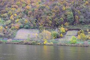 l'automne vignoble collines à le moselle photo