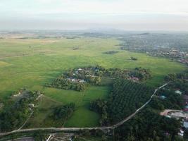 vert paysage de plantation à malais kampung photo