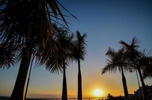 belle vue du coucher de soleil photo