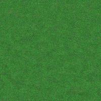 vert herbe texture pouvez être utilisation comme Contexte photo