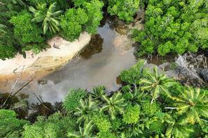drone coup de rivière et luxuriant végétation, mahe les Seychelles photo