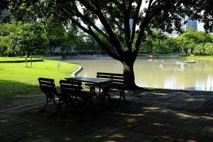 table et chaises en dessous de le arbre dans le Publique parc. photo