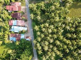 aérien vue malais maison plein avec noix de coco des arbres photo