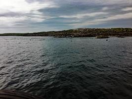 une vue de des oiseaux sur farne îles photo