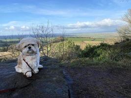 une vue de le Cheshire campagne à bickerton collines photo