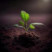 le croissance de une Nouveau plante dans le sol de le Terre, environnement se soucier, vert énergie - ai généré image photo