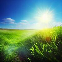 brillant Soleil brille sur vert Matin herbeux prairie, brillant bleu ciel - ai généré image photo