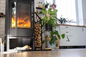 noir métal acier cheminée le fourneau avec Feu et bois de chauffage dans vert Accueil avec intérieur plante dans fleur pot dans village maison. confortable Accueil foyer dans intérieur avec mis en pot les plantes photo